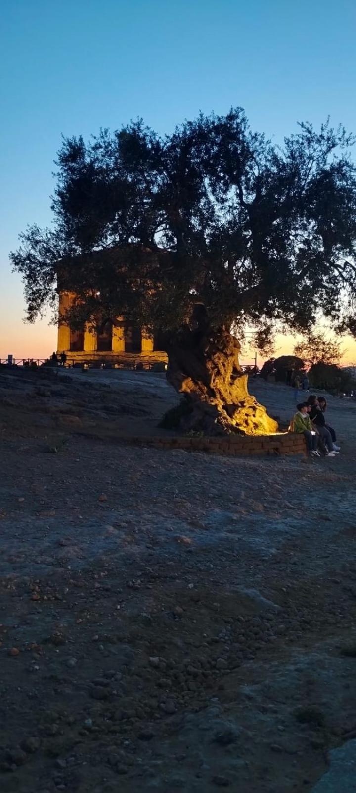 La Casa Del Sole Διαμέρισμα Πόρτο Εμπέντοκλε Εξωτερικό φωτογραφία